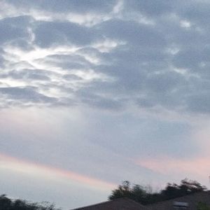 Meet your Posher, Felicia